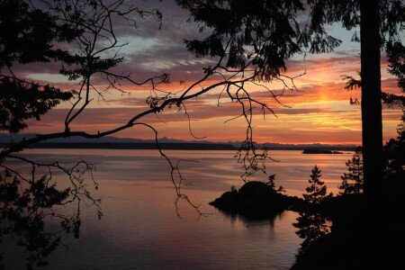 House 4 bedrooms, with garden