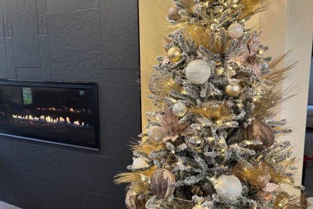 Maison 3 chambres, avec jardin