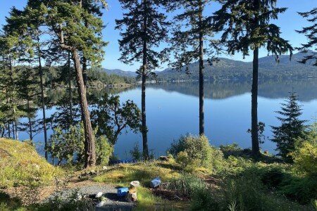 Appartement 1 chambre, avec jardin