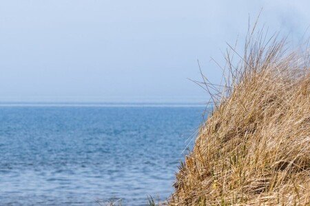 Chalet 1 chambre, avec jardin