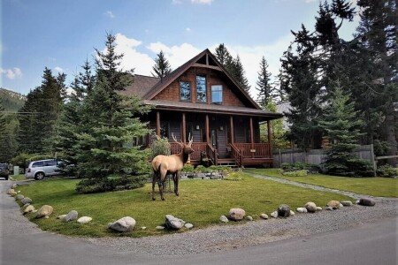 Apartment 2 bedrooms, with garden