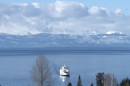 House 4 bedrooms, with garden