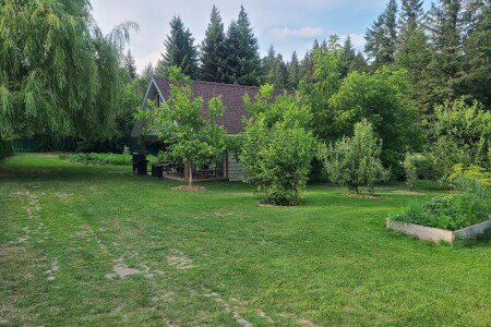 House 3 bedrooms, with garden