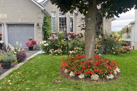 Maison 1 chambre, avec jacuzzi