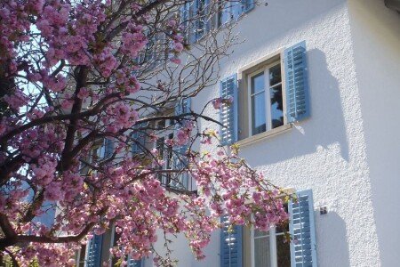 Apartamento 1 habitación, con gimnasio