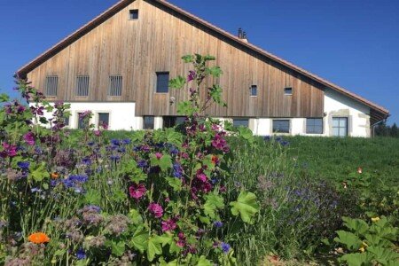 Bed and breakfast 2 camere, con giardino
