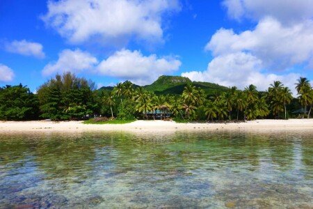 House 3 bedrooms, with garden