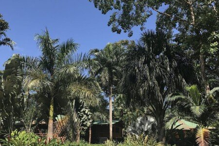 Villa 4 chambres, avec piscine