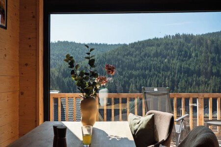 Chalet bien-être, 2 chambres, avec cheminée