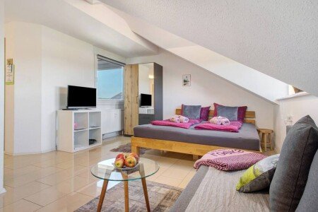 Appartamento 1 camera, con giardino