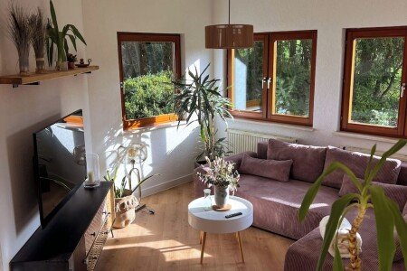 Appartamento 1 camera, con giardino