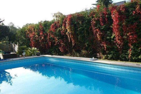 Ferienhaus 1 Schlafzimmer, mit Pool