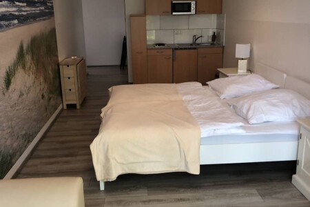 Wohnung 1 Schlafzimmer