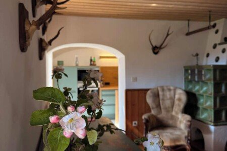 Ferienhaus 2 Schlafzimmer, mit Garten