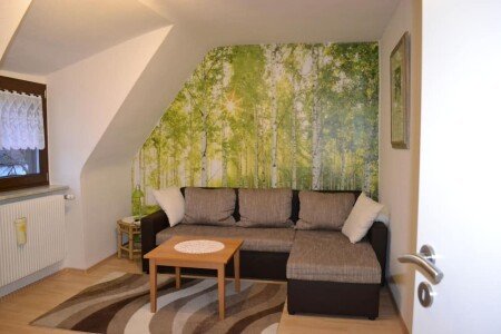 Apartment 1 bedroom, with garden