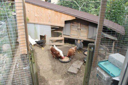 Appartement 1 chambre, avec petit-déjeuner