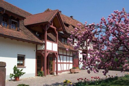 Appartement 1 chambre, avec jardin