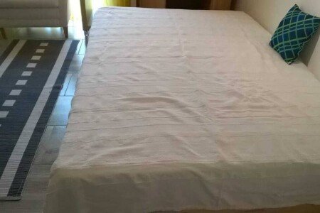 Appartement 2 chambres, avec jardin