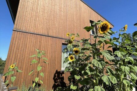 House 1 bedroom, with garden