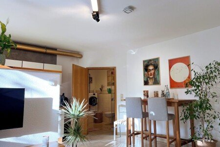 Appartamento 1 camera, con giardino