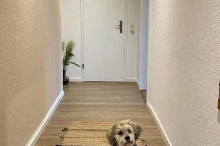 Apartment 1 bedroom, with wifi