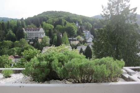 Apartment 1 bedroom, with gym