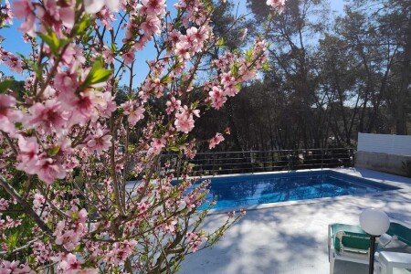 Villa 3 habitaciones, con piscina