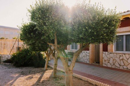 Casa 3 habitaciones, con piscina