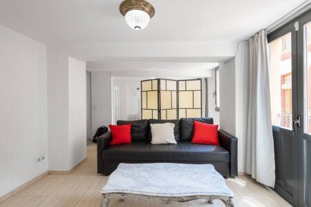 Loft 1 chambre, avec climatisation