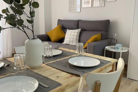 Apartamento 1 habitación, con aire acondicionado