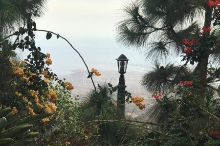 Casa 2 habitaciones, con jardín