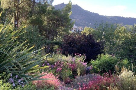 Casa 2 habitaciones, con jardín