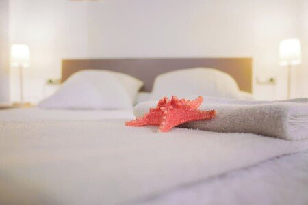 Appartamento 1 camera, con palestra