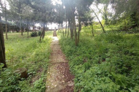 Chalet 3 habitaciones