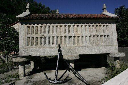 Apartamento 1 habitación, con jardín