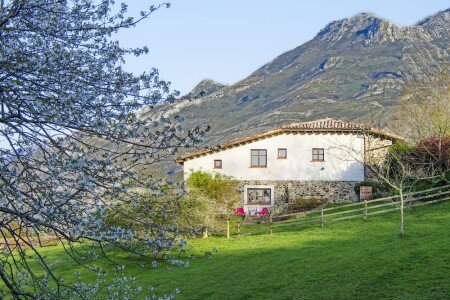 Bed and breakfast 3 bedrooms, with garden