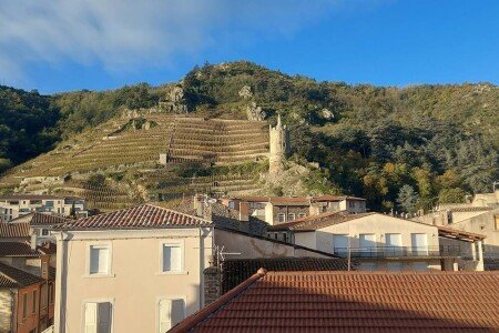 Appartement de charme, 1 chambre, avec climatisation