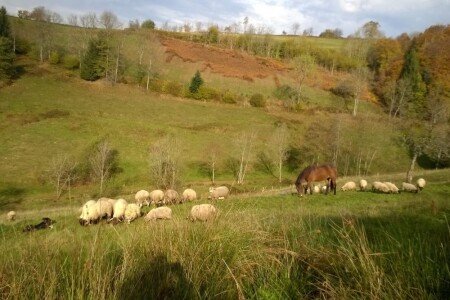Camping / Mobil Home 1 chambre, avec climatisation