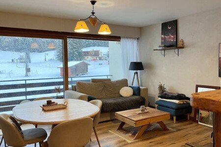 Appartement 1 chambre, avec cheminée