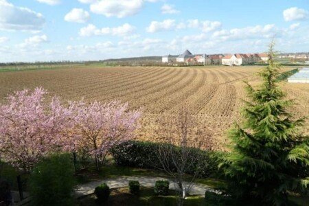 Studio cozy, 1 chambre, avec wifi