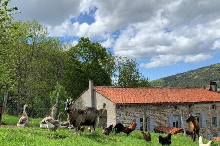 Maison chic, 4 chambres, avec jardin