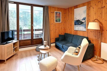 Appartement 1 chambre, avec wifi