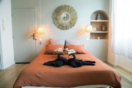 Appartement tout confort, 1 chambre, avec jacuzzi