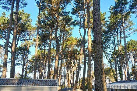 Mobil home 3 chambres