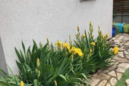 Bed and breakfast 2 chambres, avec jardin