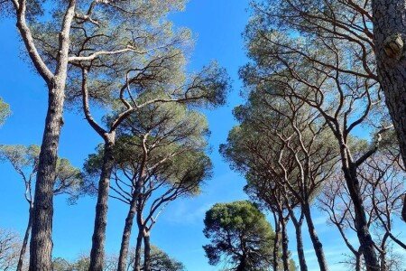 Château authentique, 1 chambre, avec jacuzzi
