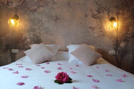 Appart'Hotel 1 chambre, avec jacuzzi