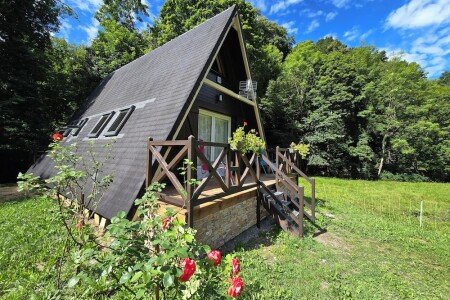 Chalet de charme, 2 chambres, avec jardin