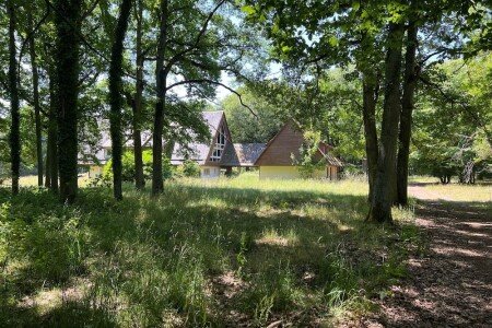 Appartement 3 chambres, avec jardin