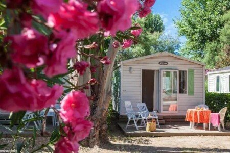 Camping / Mobil Home 1 chambre, avec piscine